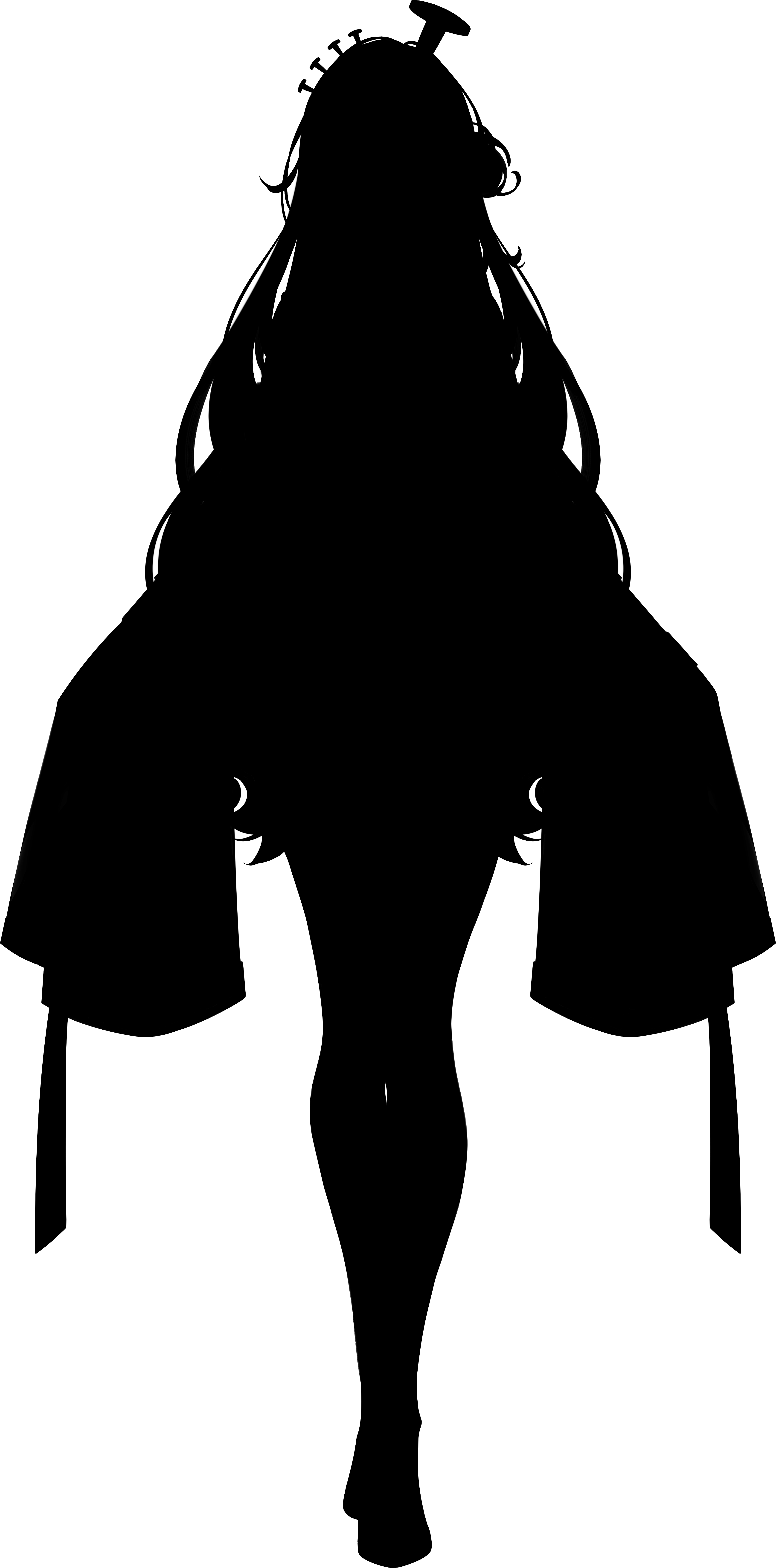 vt1